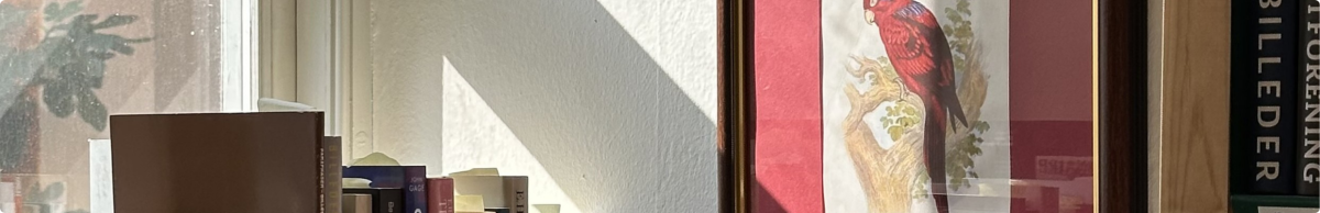 Window